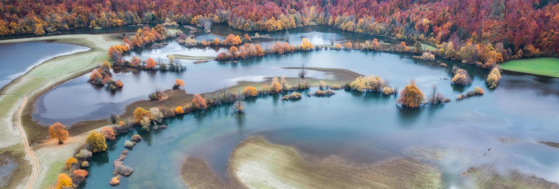 Planinsko polje